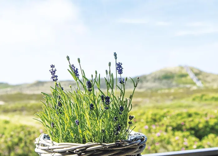 Kliffhoog-17 Lägenhet Kampen